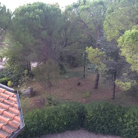 Vasto